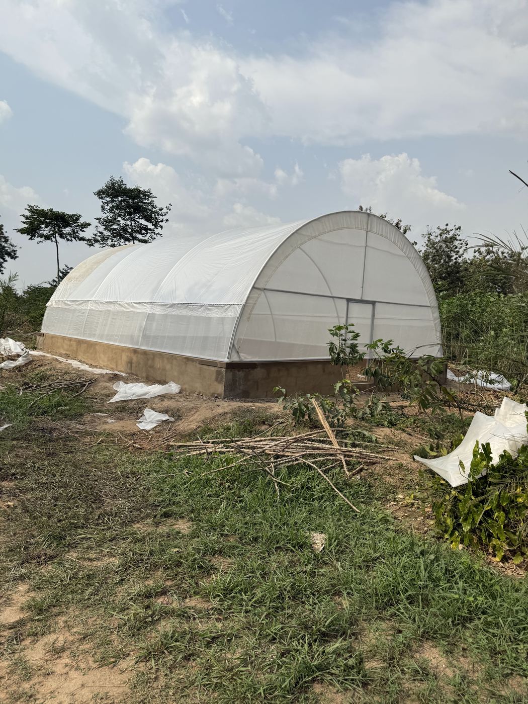 The polytunnel greenhouse at Makaya Farms, Onipe Village