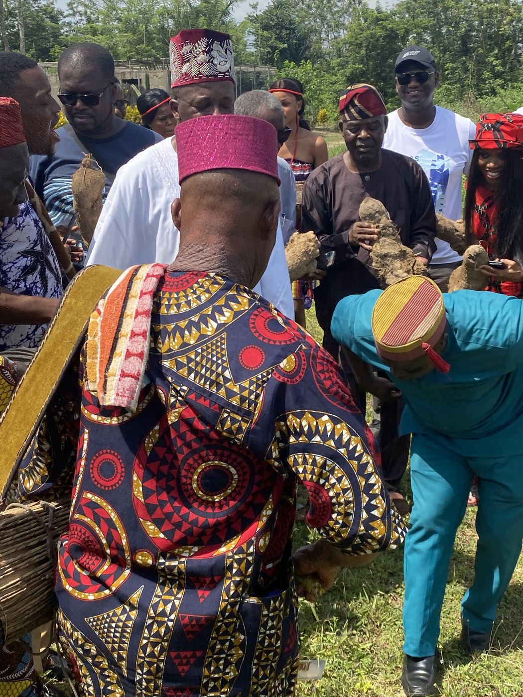Drummers and dancers celebrating the yam harvest in the field at Onipe