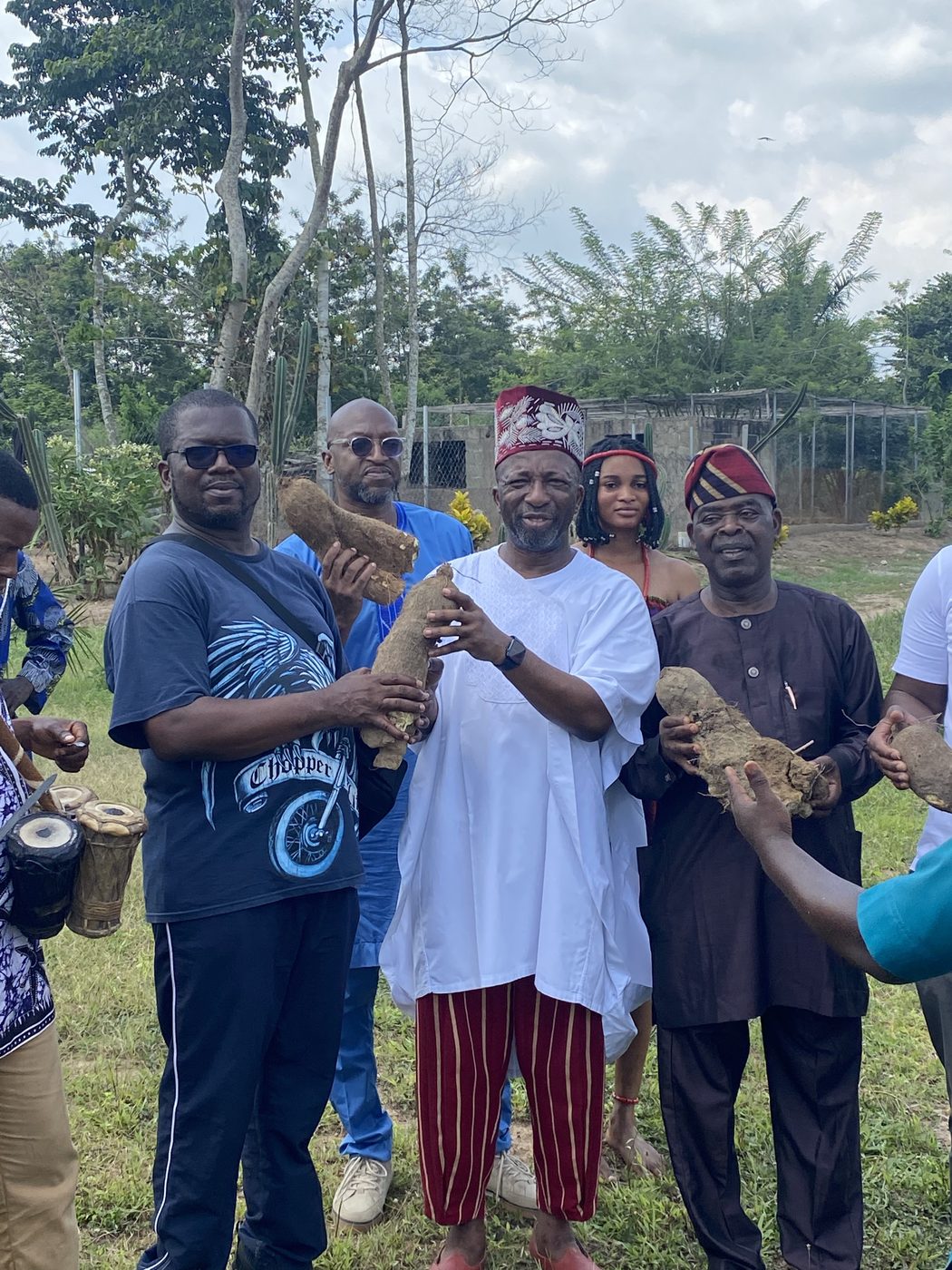 Olawale Opayinka holding freshly harvested yams in the field at Onipe, 2022