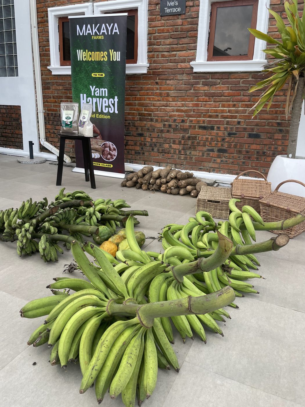 Plantain bunches, yams and packaged produce beneath the 2nd Edition Yam Harvest banner, 2023