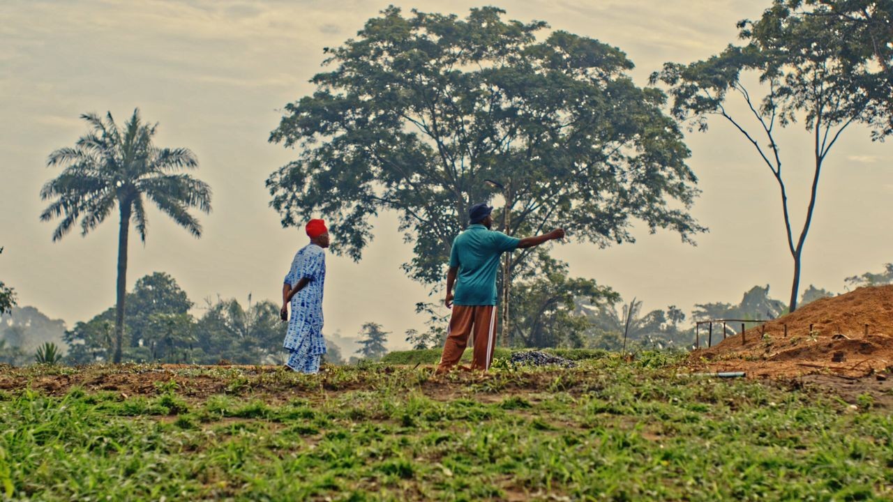 Makaya Farms estate at dusk, Ibadan