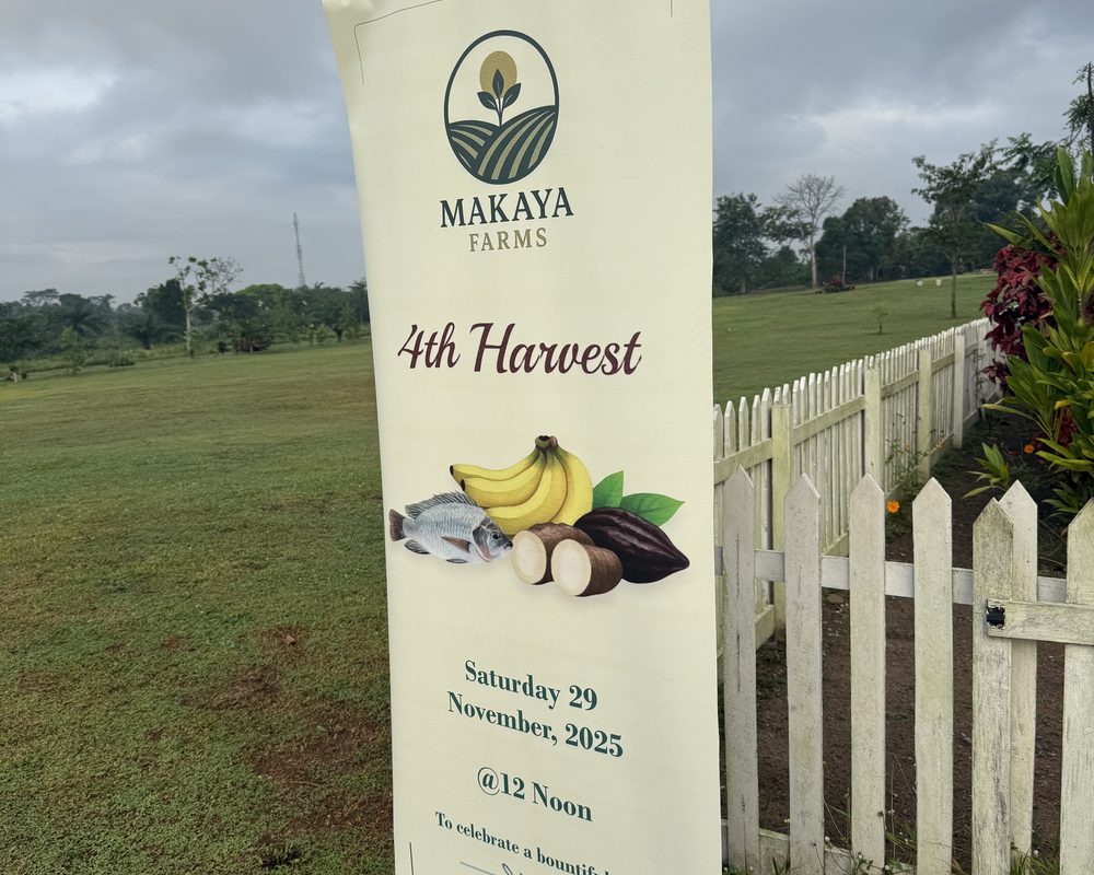 Makaya Farms harvest tradition