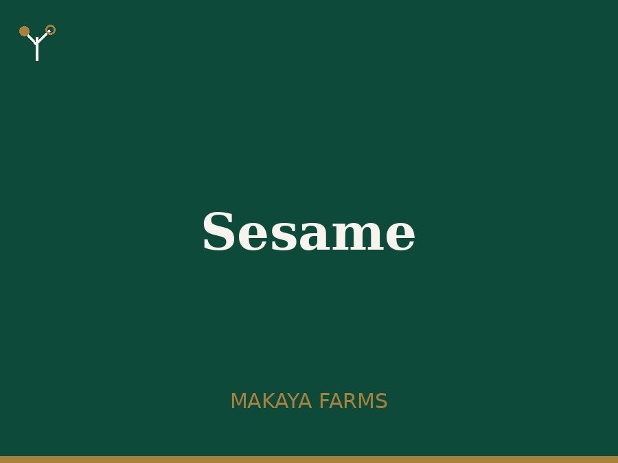 Sesame Seeds