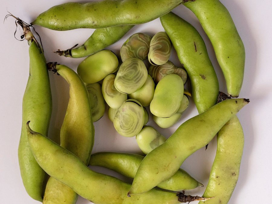 Soya Beans